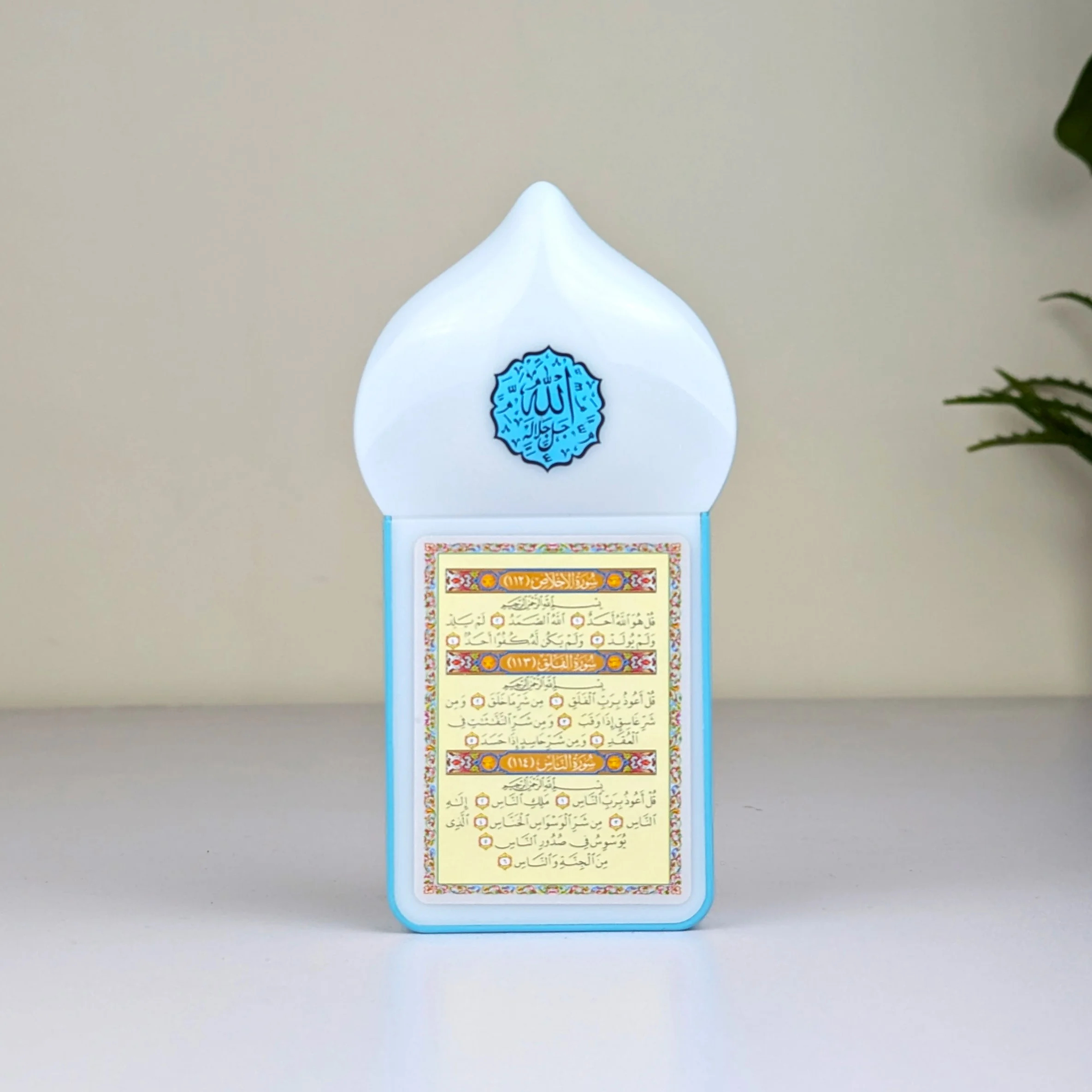 Product view 5